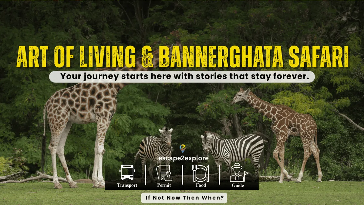 Art of Living & Bannerghatta Safari One Day Trip