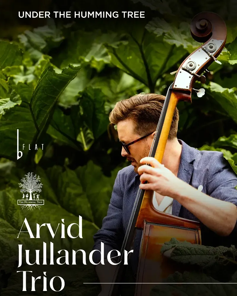 Arvid Jullander Trio (Sweden)