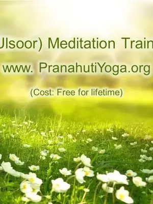 Free 1-Day Meditation Training Program poster