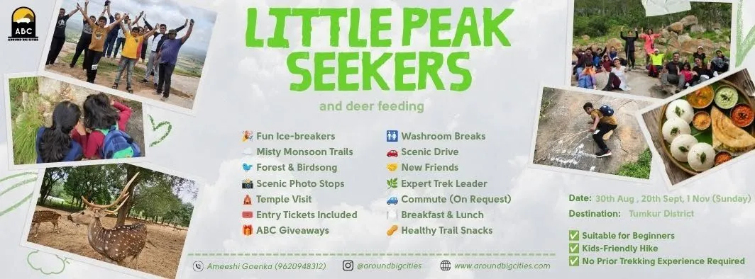 Little Peak Seekers