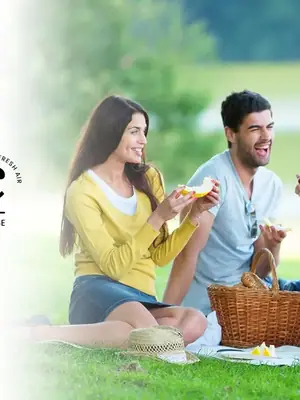 Picnic poster